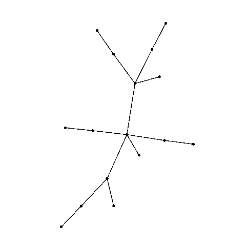 Amoeba graph